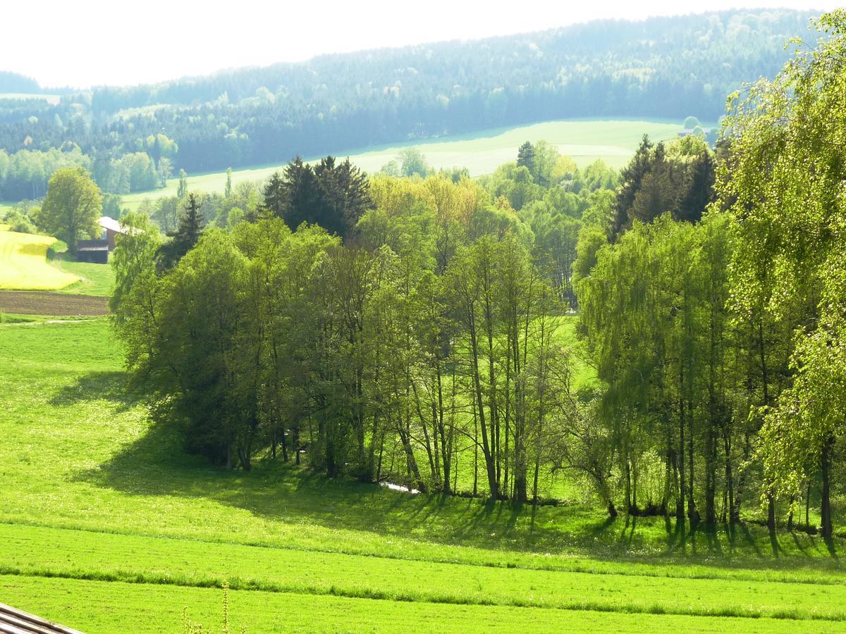 Villa Ferienhof Obertennersreuth à Stammbach Extérieur photo